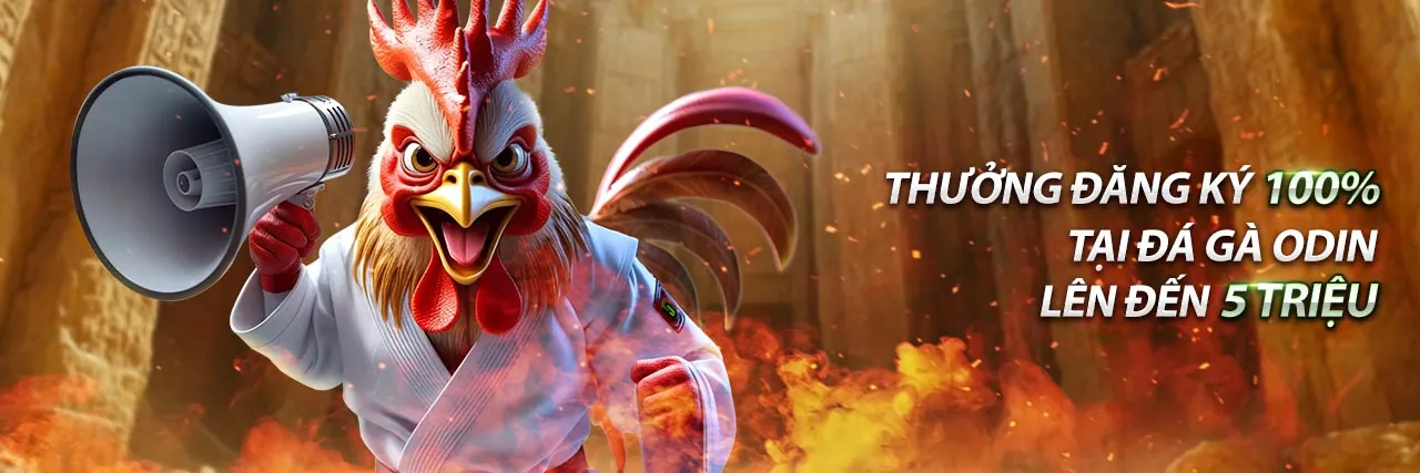 Hình ảnh tổng quan về chiến lược cá cược thể thao tại hh888 đăng nhập